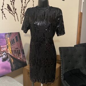 Zara Basic Sequins Dress